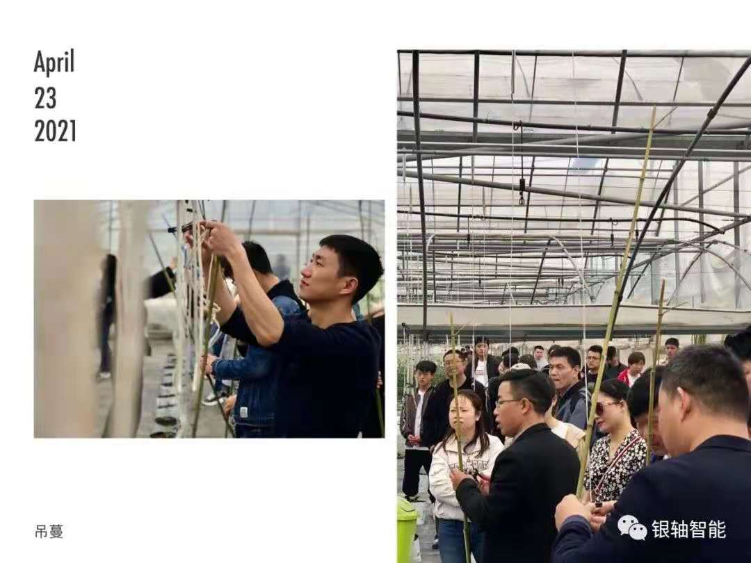 微 信 图片 _20210601110450