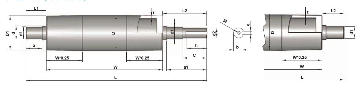 polia acionada por transportador de correia